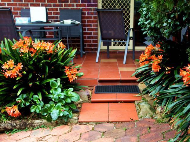 人养花,花也养人,家中养上2种“花”,镇宅还聚财,值得多养