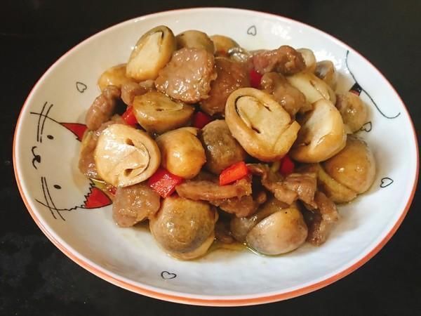  精选24款美食分享，美味下饭简单实惠，家常饭越吃越香