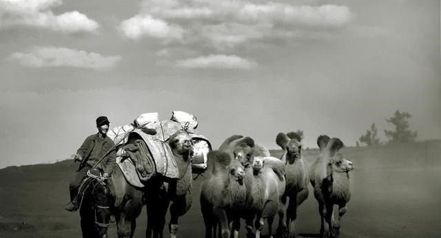 战争|南方多祠堂,北方却很少看到除了战争这个罪魁祸首还有一个原因