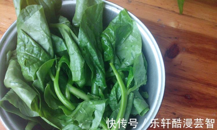 木耳菜|秋天这菜正鲜嫩，和它是绝配，营养比牛奶还高，孩子要多吃