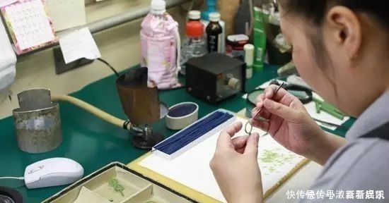 珍珠|亲临MIKIMOTO珠宝基地,揭秘顶级珍珠诞生的背后真相