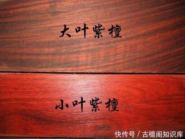 到底|“小叶紫檀”与“大叶紫檀”到底有什么区别?