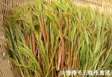 我的家乡|农村一种让人流口水的叶子，卖到350元一斤，用来煲汤很好喝！