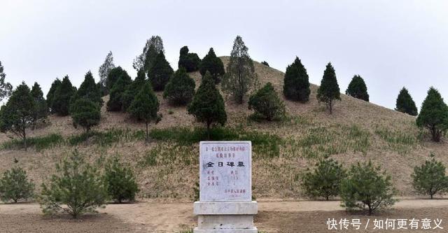 从来没|历史中，为什么卫青、霍去病高升的特别快，而李广却得不到提拔