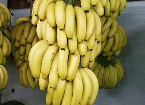 窍门|挑选香蕉也有窍门教你3种挑选上等香蕉的小窍门,值得了解