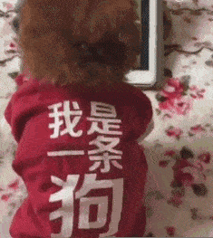 |笑话:被女友拉着去民政局离婚