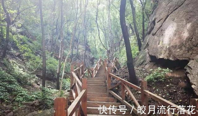 鸽子洞|北京大岭沟猕猴桃谷风景区，幽静空谷听鸟鸣，到山顶看草木葱茏！