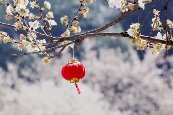 冻柿子$今日大雪 | 邂逅最美的冬天