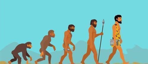 隔夜菜真的会致癌么?剩饭剩菜还能不能再吃?