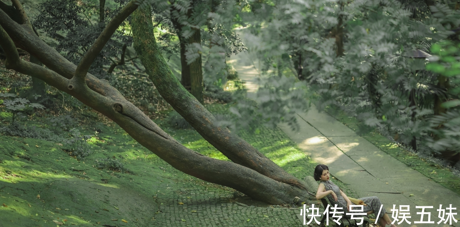 lt@诗·十首丨燕低杨絮熏风晚,一点红榴笑绿枝