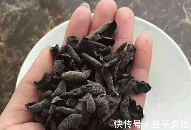 毛木耳|木耳错误食用会致人重病专家和食物无关,与错误的操作手法有关