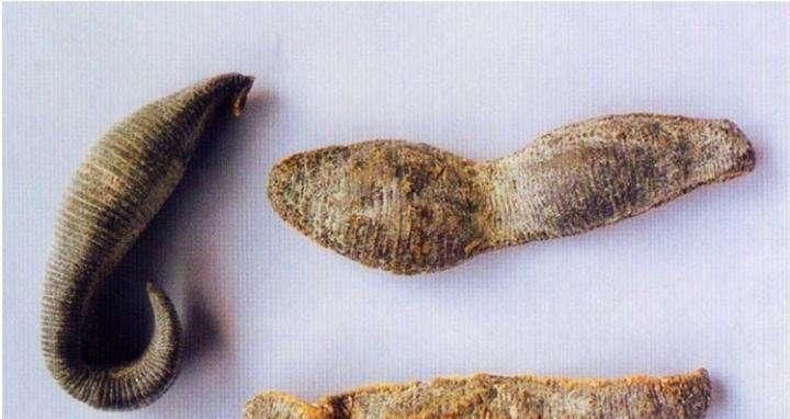 这味中药善治妇科肿瘤,很多医生不敢用,张锡纯称它为“真良药”