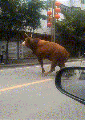 |搞笑段子王:小伙子,你有点飘了,是不是觉得我拿不稳老虎钳了