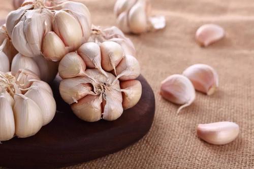 鱼肉|5大“健康食物”公布,想养生的人,不妨经常吃