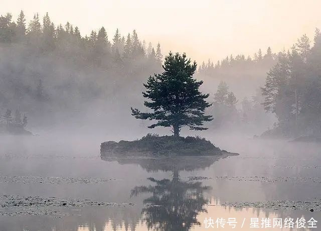 在乎|有深度有涵养的人生金句，字字千金，富含哲理！