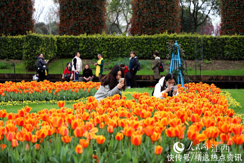 龙虎山花语世界园鲜花竞开 游客慕名“打卡”