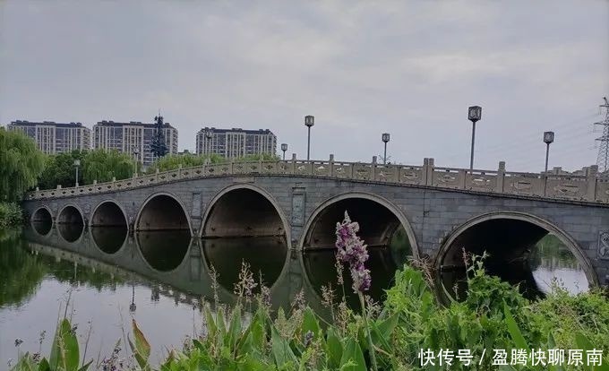 景点|独墅湖生态公园，闹市中的一块桃源