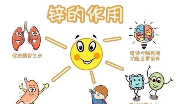 长高|这种食物吃一次7天不消化,很多家长还给孩子吃,难怪孩子不长个