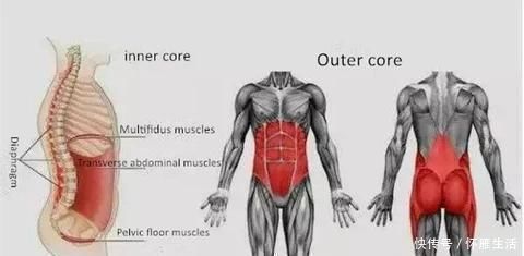 训练|想练“蜜桃臀”深蹲不可少练完臀翘却腰痛如何解决深蹲腰痛