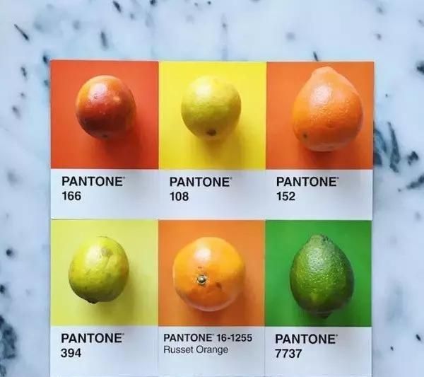 设计师|设计师是好色之徒吧不然怎么能拍出这组创意十足的食物色卡