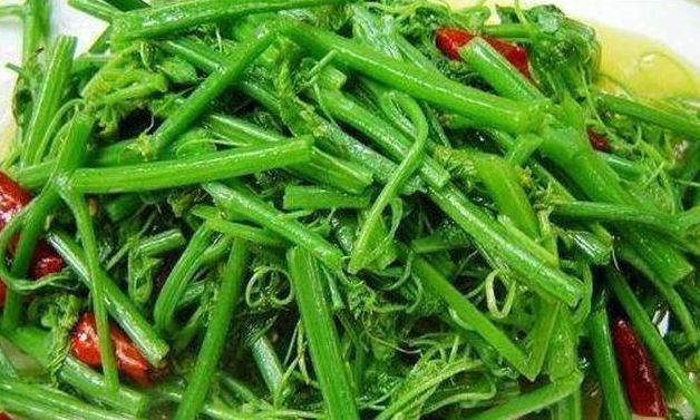 南瓜|不想身体差,多吃的好食物,缓解疲劳,促进发育,皮肤更细腻