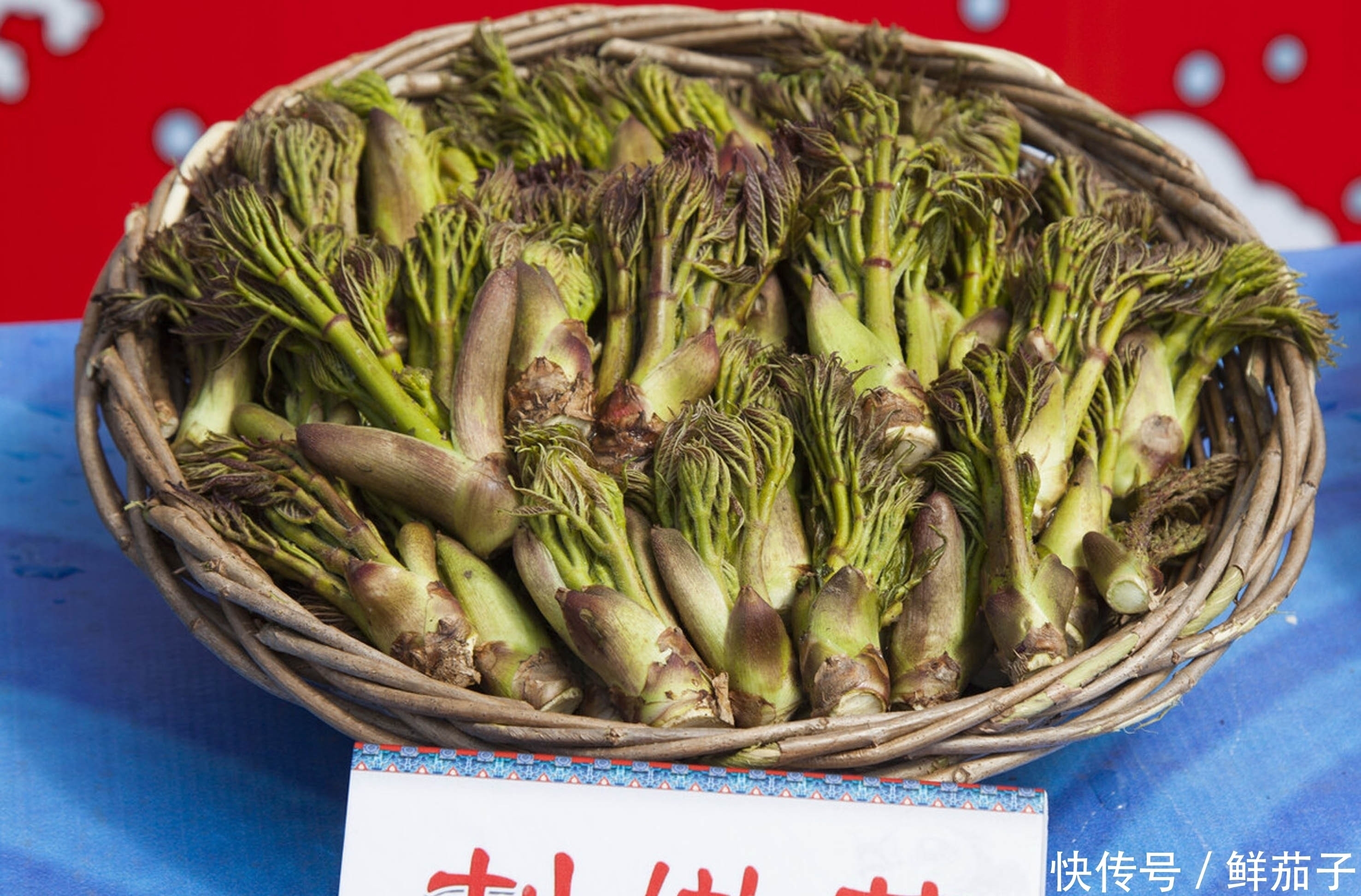 它叫阳虎刺,长得像香椿,但比香椿好吃,现在正美味,遇见别错过