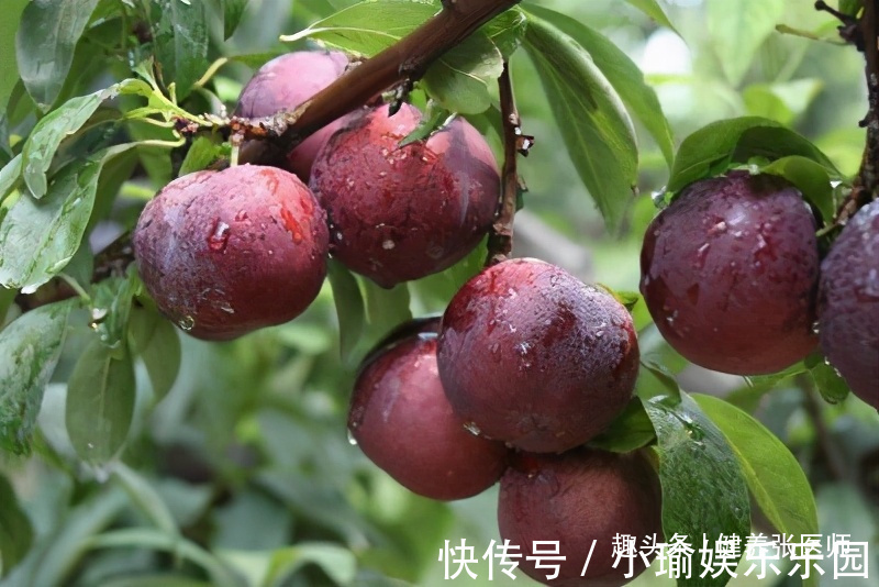 张医师|春季来了,女性多吃3种食物,补充营养,呵护肌肤,显年轻!