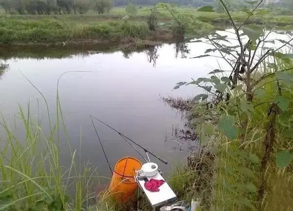 在陌生水域作钓,把这几个细节先做好,根本不愁钓不上鱼!