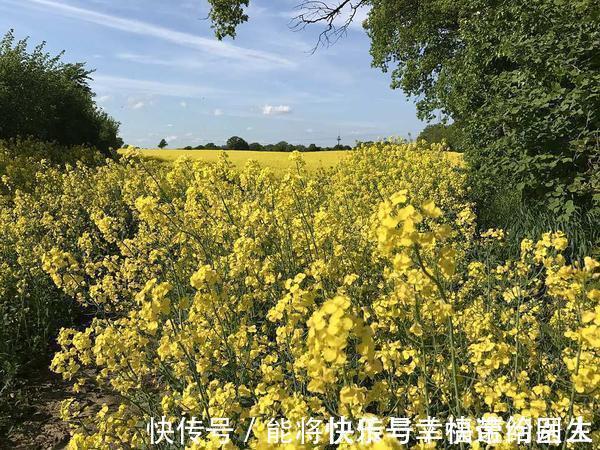 猕猴桃|若想甲状腺健康,6种食物可记在小本本上,懂得食用,消散结节