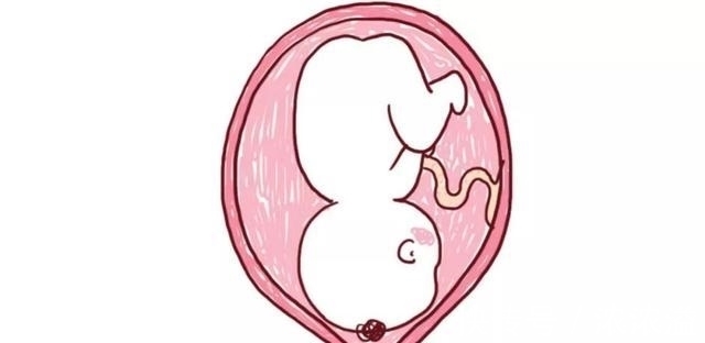 宝宝|顺产时你痛得死去活来,那宝宝是什么“感受”呢?看完别笑出声