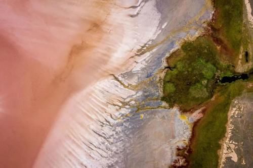 网友|火车驶入粉色盐湖，俄版《千与千寻》如此唯美