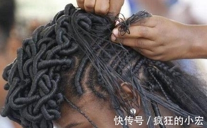 美观|非洲人的辫子原来不是为了美观,而是为了不洗澡,防虱子?