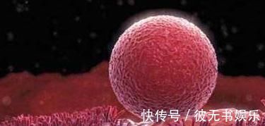 孕妇|若你怀孕时,“胎盘低”的原因是什么?对胎儿有什么影响吗?