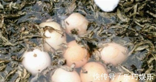 视网膜|女性不想满脸皱纹,可以吃3种食物,美容养颜,有益健康!