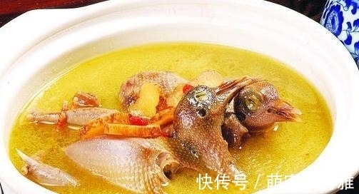 红枣|一鸽胜九鸡,鸽子汤怎样做才好喝?试试此做法,肉嫩汤鲜,太香了