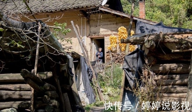 茱萸|寻访秦岭苦竹沟，灌满浆汁的烂红野果和山货挂满枝头，都无人采摘