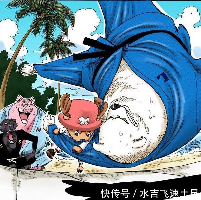 海贼王|海贼王扉页故事之乔巴虽然我很小,但是我很厉害