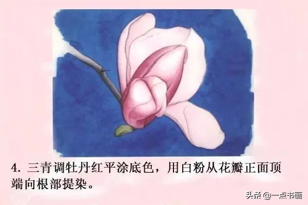 鸳鸯#图文教程——工笔玉兰画法