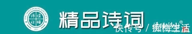 读睡诗选之春暖花开|每日好诗词｜诗人江波七绝5首幽花漫舞逗春归，寄托相思看雨飞