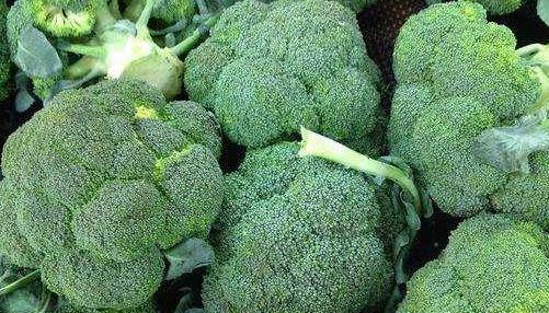 维生素夏天多吃西兰花好处多,美肤抗衰老,不少人犯了以下2个错误