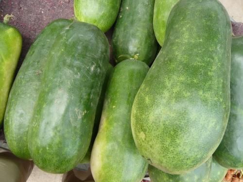 冬瓜|这菜我家春天吃到冬天，秋天更别错过，简单一炒，鲜掉眉毛