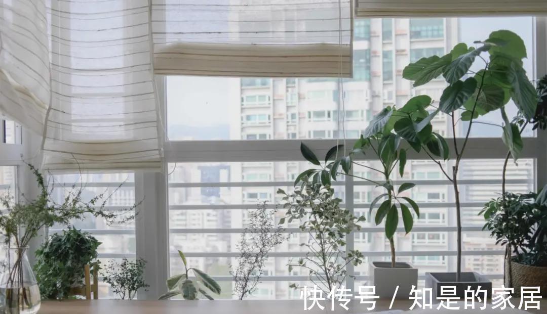 工整|看了她家，才明白改造不一定要拆墙，“渣户型”同样可以很实用