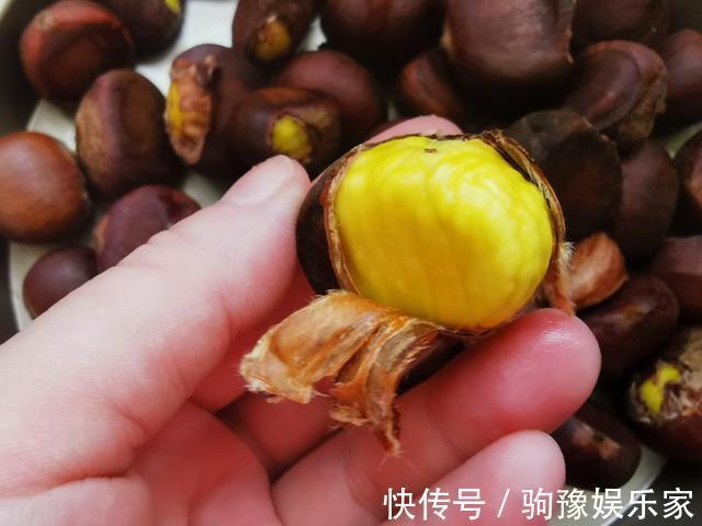 巧克力色|生板栗快速去壳，1分钟剥30个，颗粒完整，附板栗挑选技巧