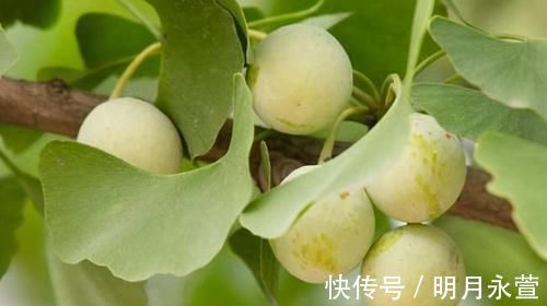 美白淡斑|女性不想老太快，推荐吃3种食物，美白淡斑，延缓衰老，好处多多