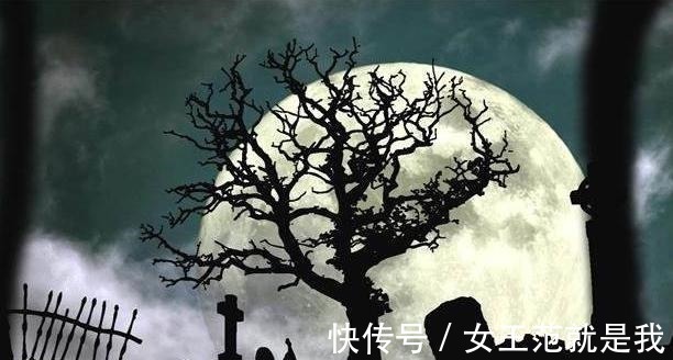 陆舟!推荐4本精彩绝伦的完本小说,剧情跌宕起伏,新老书虫拍手叫好