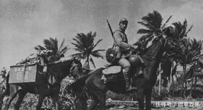 国家|东南亚国家不憎恨曾经犯下滔天罪行的日本人,是因为没有血性吗