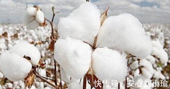 沃尔玛|“吃中国饭砸中国锅”?山姆、沃尔玛下架“产品”,终于来报应了