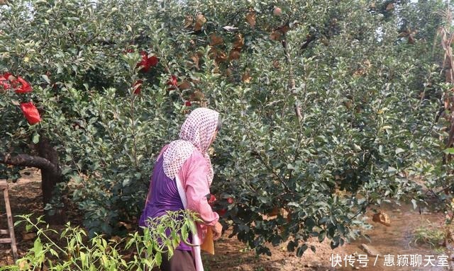 春暖花开|组图 烟台蓬莱村里集镇的故事, 与艾崮山相依的好地方