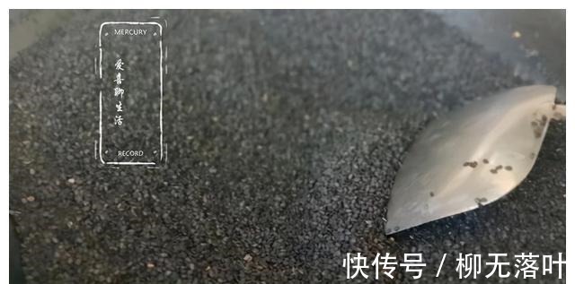 健脑|入冬后,多给孩子做它吃,滋补润肺健脑益智,一拌一煎3分钟学会!