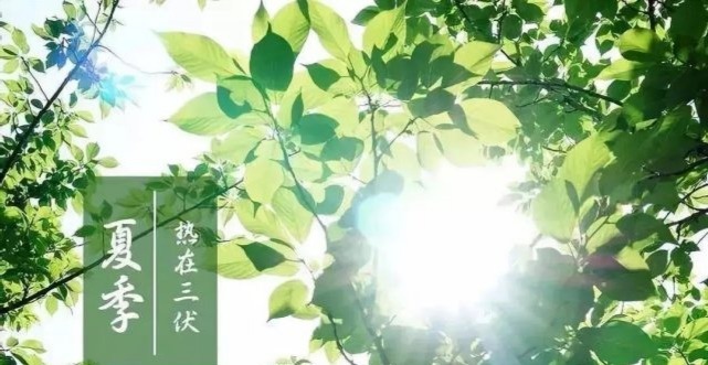 祛湿|伏天怎么养生